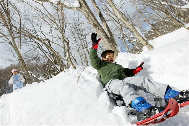 【岐阜県高鷲・スノーシュー体験】ダイヤモンドのような雪景色!長良川源流で森のゆったり散歩