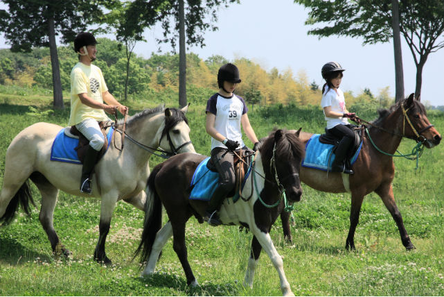 【茨城・乗馬体験】緑あふれる広大な草原の中で乗馬デビュー!