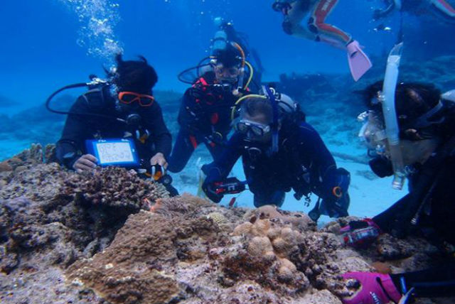 【座間味・ファンダイビング(2ダイブ)】初めての感動を約束します!2ダイブプラン 【座間味・ファンダイビング(2ダイブ)】初めての感動を約束します!2ダイブプラン