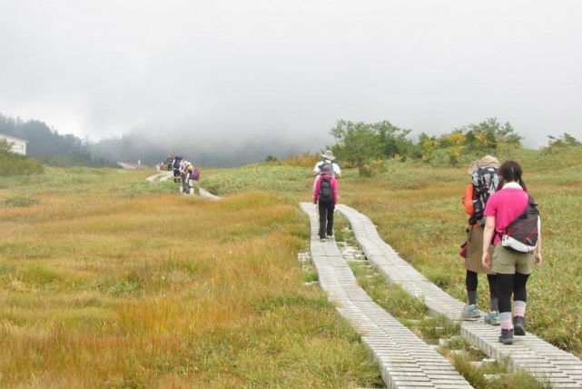 【富山・エコツアー】お散歩気分でらくらく大自然満喫!立山カルデラ展望台と弥陀ヶ原
