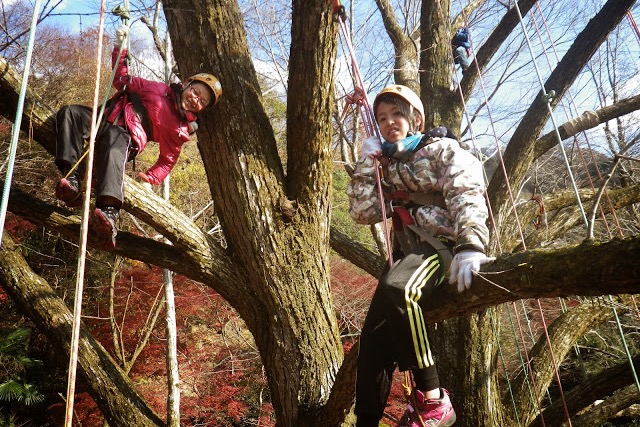 【滋賀高島・木登り】基本のツリーカフェ!枝に座って立って寝転んで。とことん木登り!