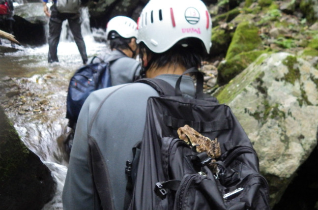 【鳥取県・1日・キャニオニング】「幻の滝」を目指して沢登り!くそぎ谷1日コース