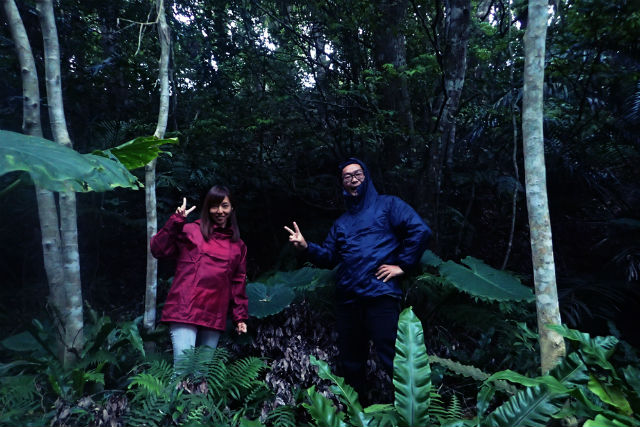 【石垣島・蛍鑑賞】輝く星空とホタルの光につつまれる!幻想的なホタルツアー! 【石垣島・蛍鑑賞】輝く星空とホタルの光につつまれる!幻想的なホタルツアー!