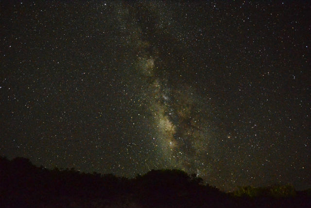 【石垣島・蛍鑑賞】輝く星空とホタルの光につつまれる!幻想的なホタルツアー! 【石垣島・蛍鑑賞】輝く星空とホタルの光につつまれる!幻想的なホタルツアー!