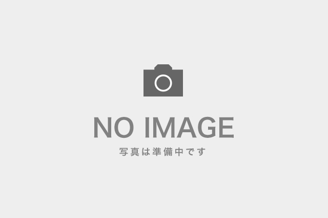 【北海道・札幌・エコツアー】円山公園で遊ぼう!森林の宝物探しとピクニックランチ
