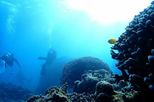 【石垣島・ダイビング】海人のガイドでとっておきのダイビング体験(2ダイブ) 【石垣島・ダイビング】海人のガイドでとっておきのダイビング体験(2ダイブ)