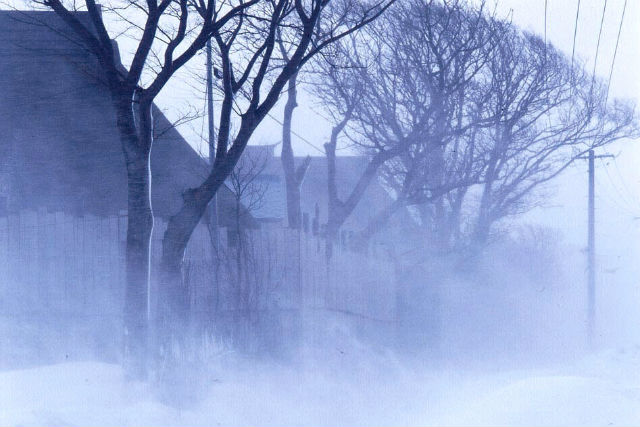 【青森・地吹雪体験ツアー】雪国ならではの自然現象を体感!地吹雪の雪原を歩こう