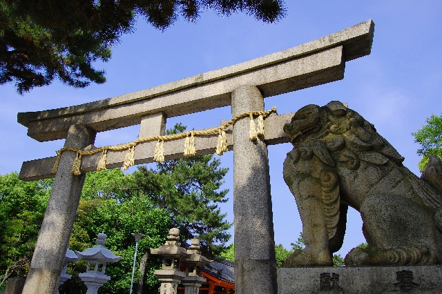 初詣の画像