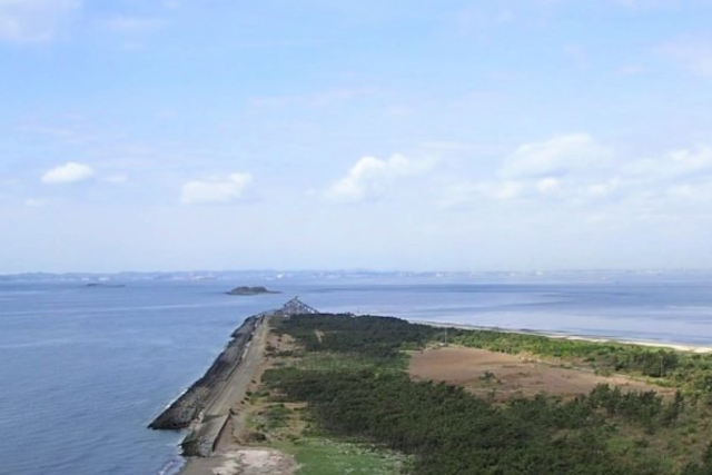【期間限定ポイント10%還元！モーターパラグライダー・千葉】東京湾一望！絶景スポットで空の旅★ベテラン講師が安全安心サポート！青堀駅まで送迎可♪ 写真7