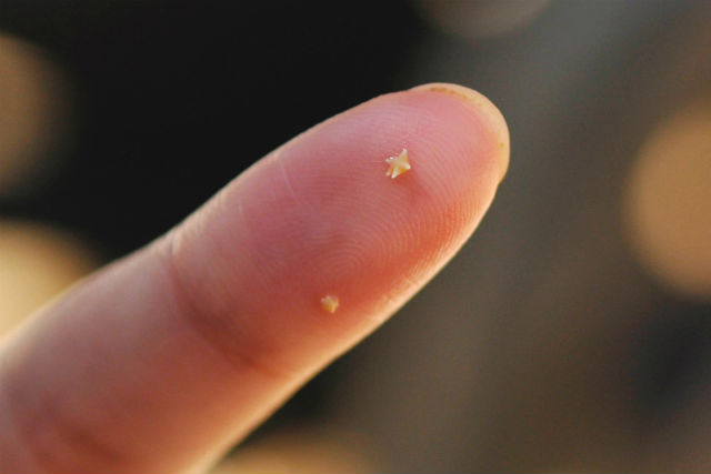【半日】沖縄で人気のスポット★青の洞窟&星の砂浜+荒川の滝 写真5