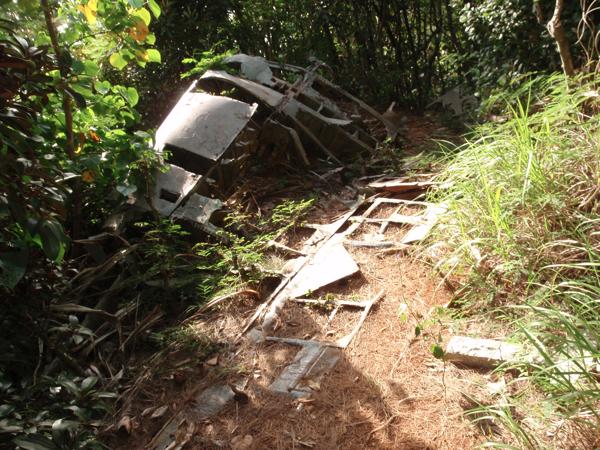 【半日・午前or午後・戦跡めぐり】先人の生きた証を体感、小笠原の戦跡を歩く 写真3