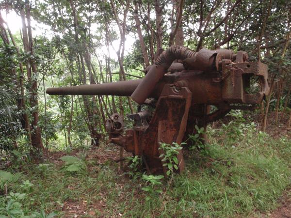 【1日・戦跡めぐり】じっくりとめぐる、小笠原に残る先人たちの記憶 写真5