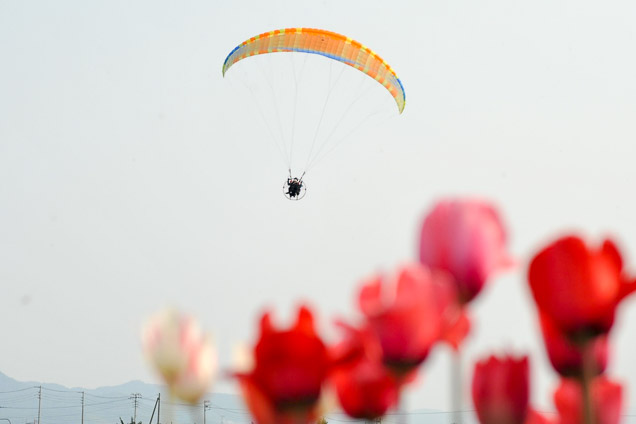 北海道・富良野・モータパラグライダー（タンデムフライト・飛行時間：約15分） 写真7