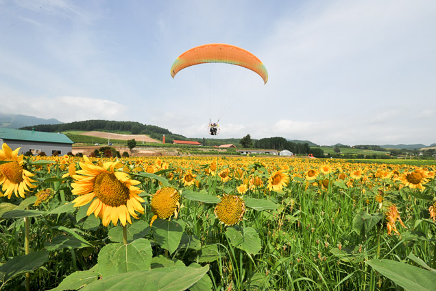 北海道・富良野・モータパラグライダー（タンデムフライト・飛行時間：約15分） 写真5