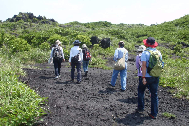 【期間限定ポイント10%還元！東京都・伊豆大島・トレッキング】景観豊富なガイドがご案内！火山の息吹を感じる三原山噴火口ハイキング（半日コース） 写真8