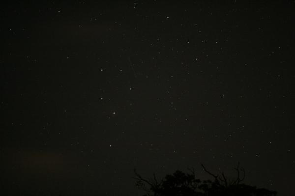 【東京都・伊豆大島・星空観察】美しい星空を見に行こう！ベテランガイドが満天の夜空をご案内します！ 写真2