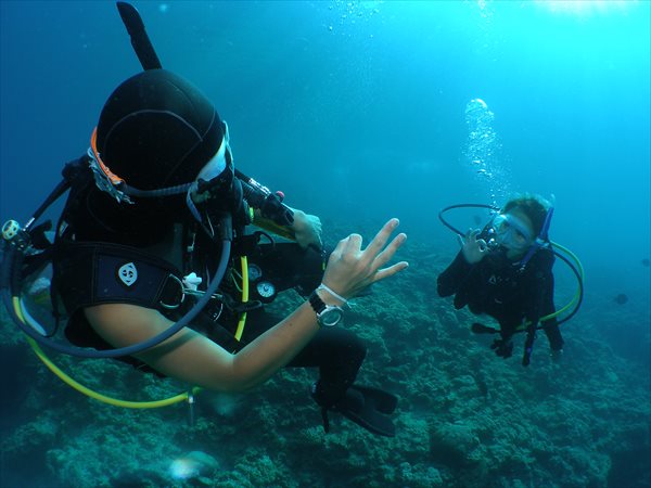 【美しい海でライセンス取得！】PADI・オープンウォーターダイバー★写真プレゼント 写真3