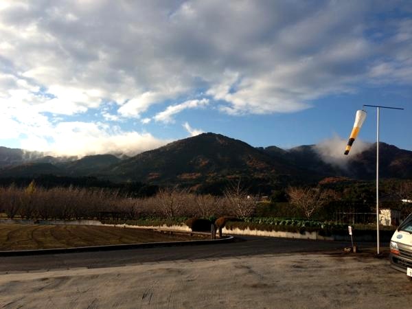 【茨城・石岡市】フワリと宙を舞う。パラグライダー体験 写真5