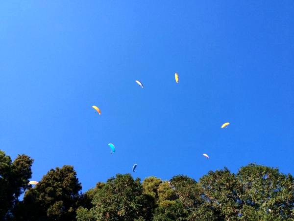 【茨城・石岡市】フワリと宙を舞う。パラグライダー体験 写真6