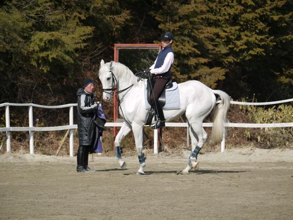 【騎乗時間30分】体験乗馬★乗馬の第一歩を踏み出そう！ 写真3