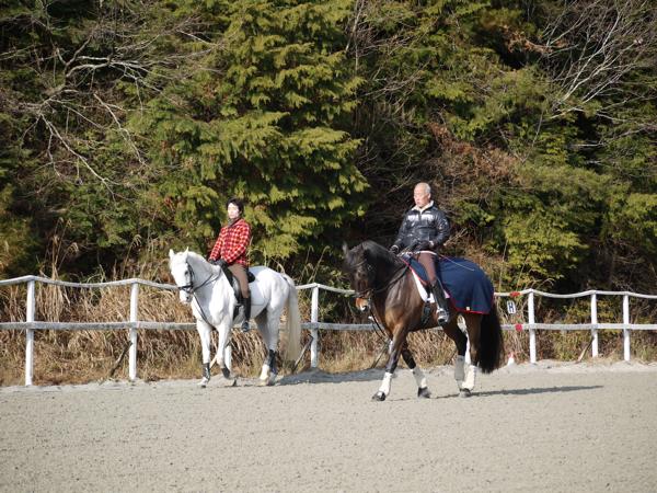 【騎乗時間30分】体験乗馬★乗馬の第一歩を踏み出そう！ 写真5