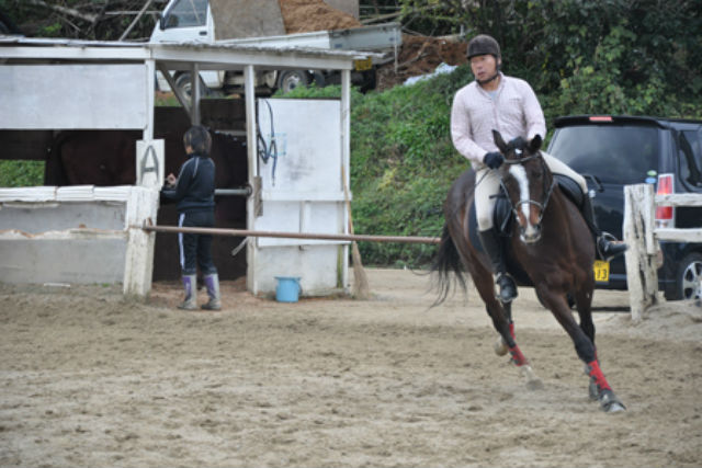 【体験乗馬・20分】マンツーマンで基本の“キ”からアドバイス☆お試し乗馬 写真4