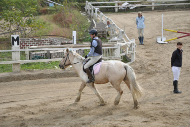 【乗馬教室・3回】たった3回のレッスンで馬を乗りこなせます♪ 写真4