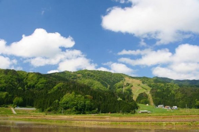 【兵庫県・神鍋高原・パラグライダー】当スクールの人気NO.1★パラグライダー体験飛行（1日） 写真8