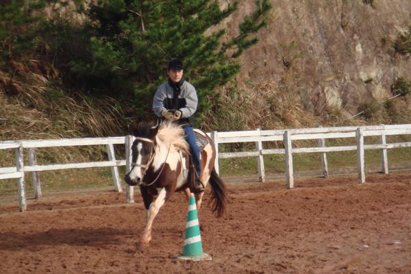 シービューランチ 3枚目