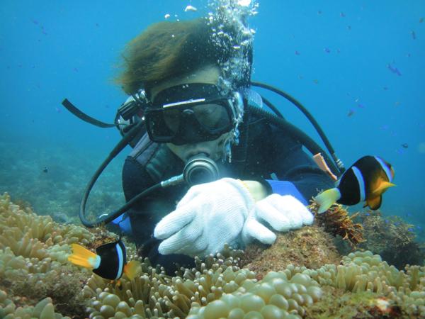 【伊豆・体験ダイビング・1ダイブ】未知なる世界へご招待！初心者限定ダイビング 写真4