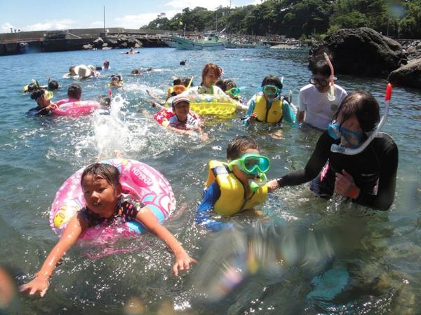 【伊豆・スノーケリング】海のなかまと一緒に遊ぼう！気軽に楽しむスノーケリングプラン！ 写真4