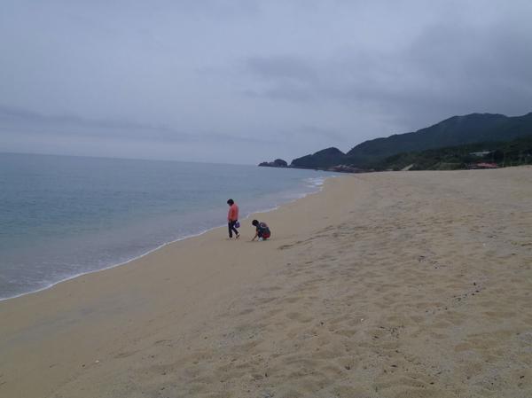 【エコツアー】島内一周★屋久島満喫するならこのプランがオススメ！ 写真4