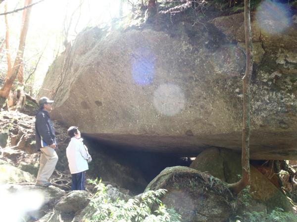 【半日・白谷雲水峡】苔むす森を見に行こう★屋久島トレッキング！ 写真4