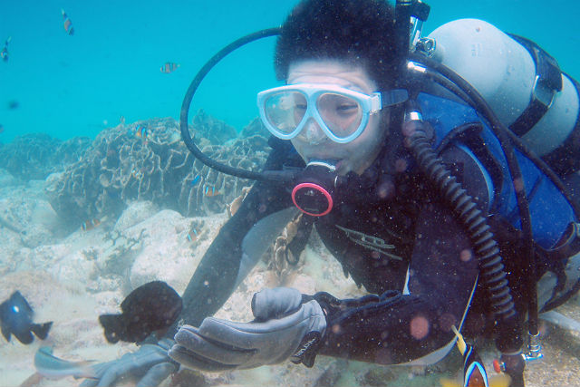 【体験・2時間】黒潮に恵まれた柏島！初心者の方はこのプランから☆ 写真3