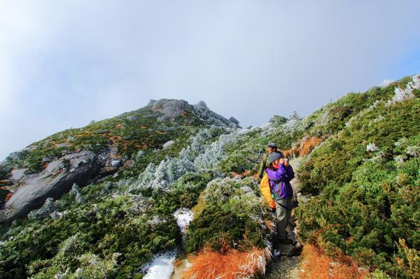 【1日・トレッキング】のんびり日帰り★花の名山・黒味岳プラン 写真3