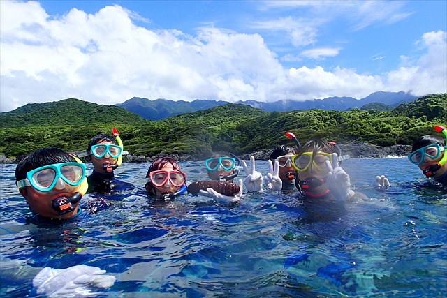 【半日】色あざやかな屋久島の海を覗こう！気軽にシュノーケリング体験 写真5