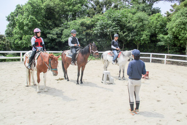 兵庫・乗馬・レクチャー約20分＋外乗約40分 （森林散歩コース・馬とのふれあいクーポン付き） 写真4