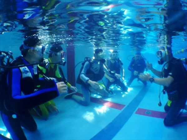 【PADI・オープンウォーターダイバー】ダイビング発祥の地でライセンス取得を目指そう！★ 写真11