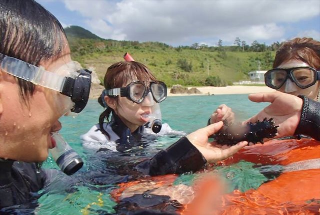【沖縄名護・シュノーケリング】色とりどりの熱帯魚&サンゴに会いに行こう！★写真プレゼント 写真5