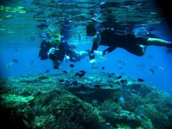 【石垣島・シュノーケリング・1日+フィッシング付き】パナリ島での極上のひと時を！ 写真6