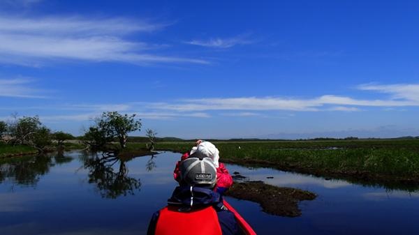 【北海道・釧路川・カヌー】広大な湿原をのんびりと行こう。釧路カヌーツーリングプラン（プライベート） 写真8