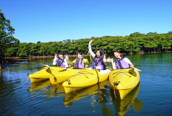 【西表島・カヌー】ピナイサーラの滝観光と由布島水牛車観光がセットに！西表島満喫プラン 写真3