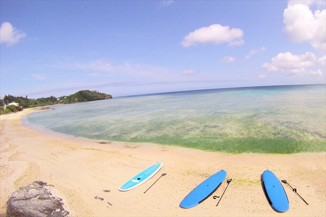 【沖縄・恩納村・SUP】SUP＆海中観察＆貝殻集め（90分） 写真2