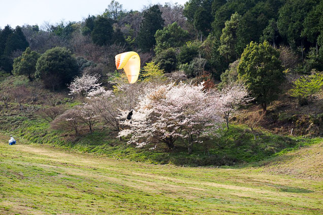 長崎・諫早・パラグライダー体験（4時間） 写真8