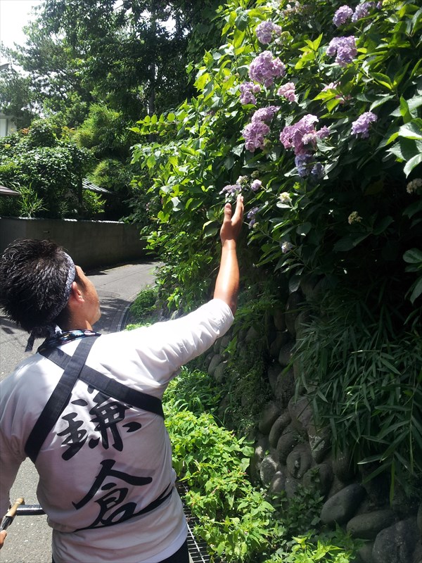 【神奈川・鎌倉・人力車・30分貸切】歴史と文化が色残る鎌倉を人力車で巡るプラン