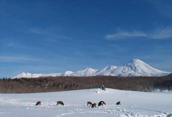 知床五湖 2枚目