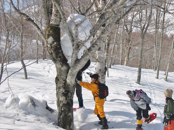 【長野・白馬・スノーシュー】心を真っ白にして、スノーシューハイキングを楽しもう！ 写真8