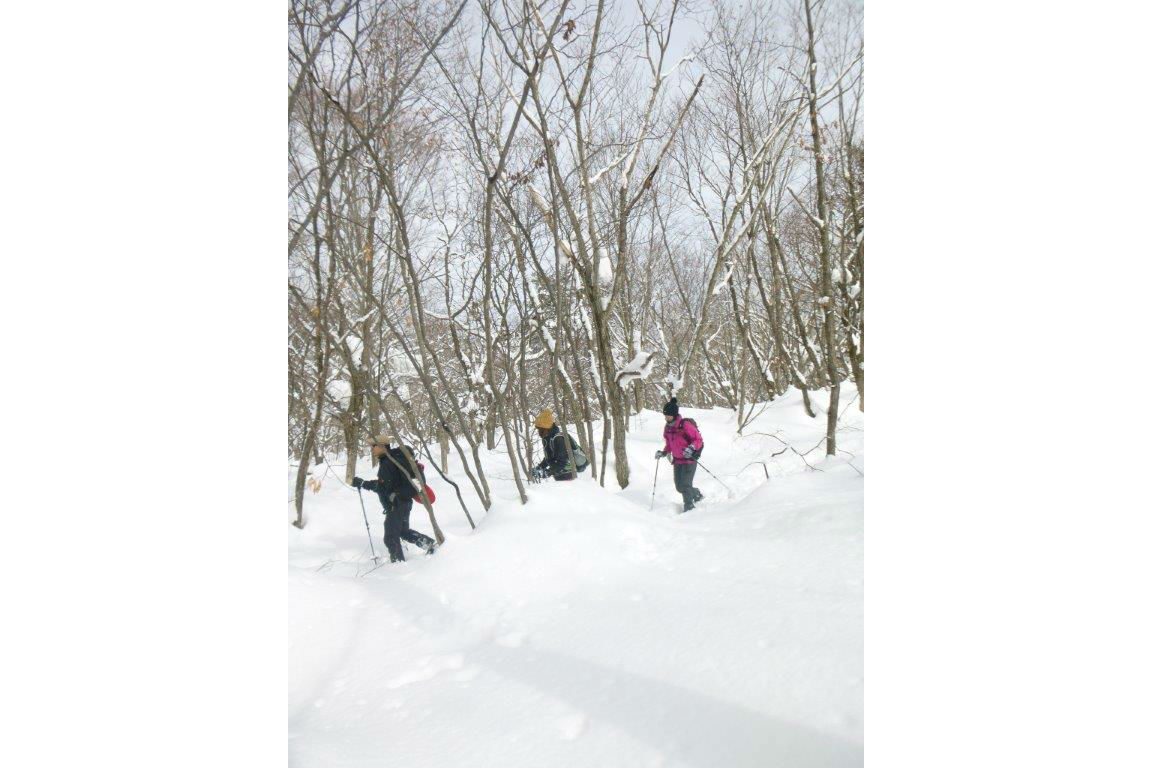 【岐阜荘川・スノーシュー】プチ日本縦断分水嶺越え！JR高山駅送迎＋昼食付コース 写真7
