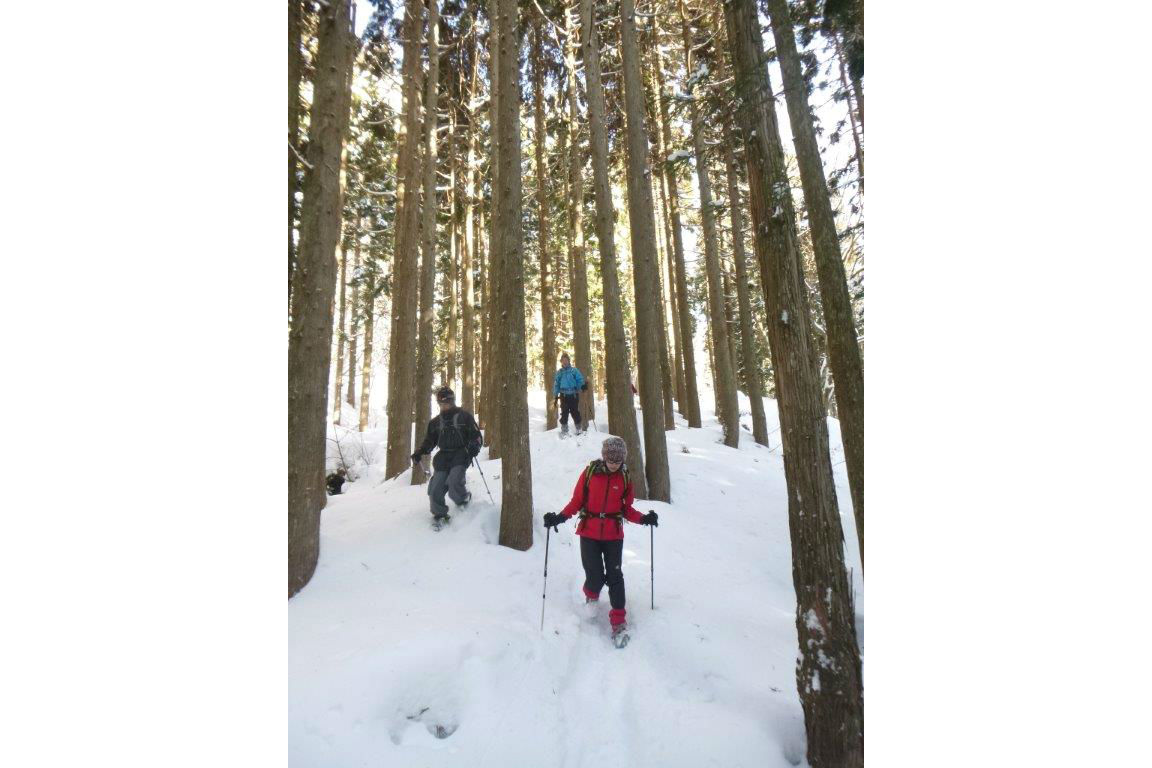 【岐阜ひるがの高原・スノーシュー】見当山1日コース 写真6