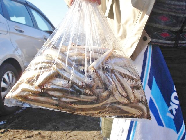 【山梨・山中湖・ワカサギ釣り】暖房付きドーム船で、冬も快適！8人1組ワカサギ釣りプラン 写真4